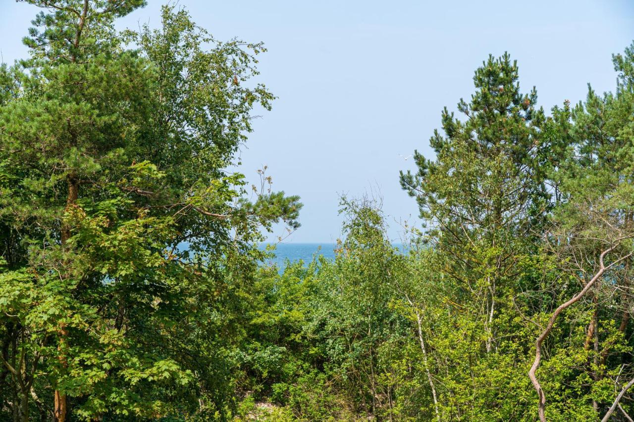 Natural Apartamenty Darłówko Eksteriør billede